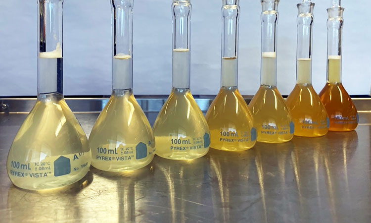 methods for testing honey samples