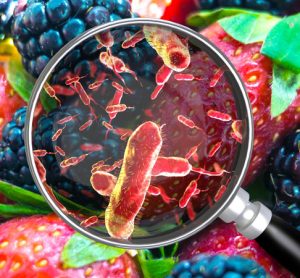 Food microbes image